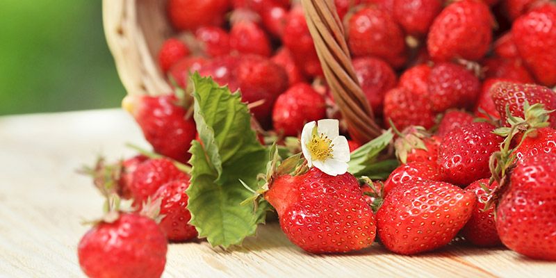 beneficios de las fresas