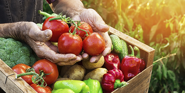 Beneficios de consumir alimentos de temporada