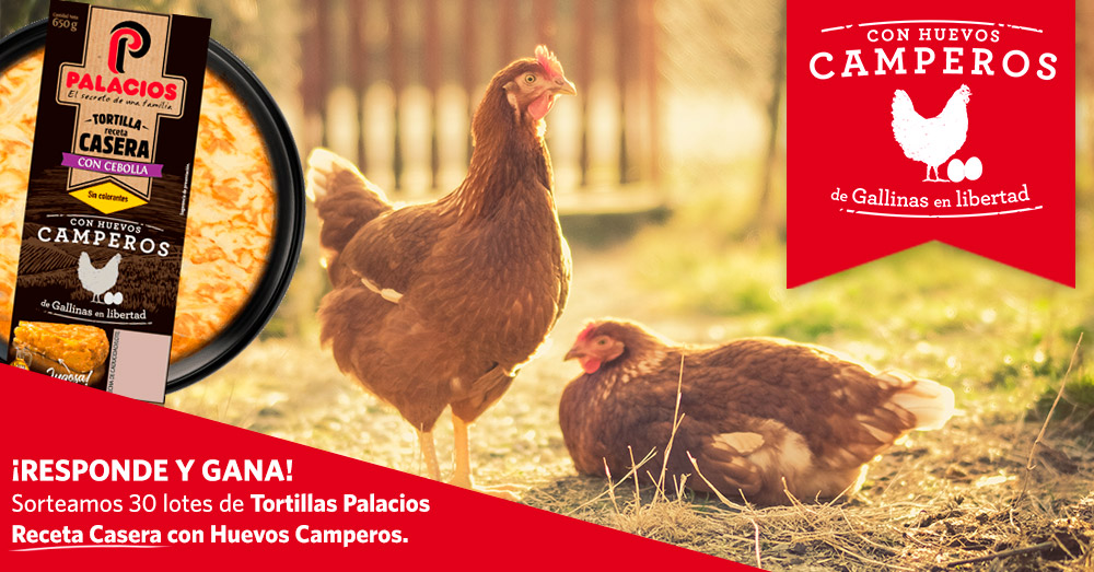 Sorteamos 30 lotes de Tortillas Palacios Receta Casera con Huevos Camperos