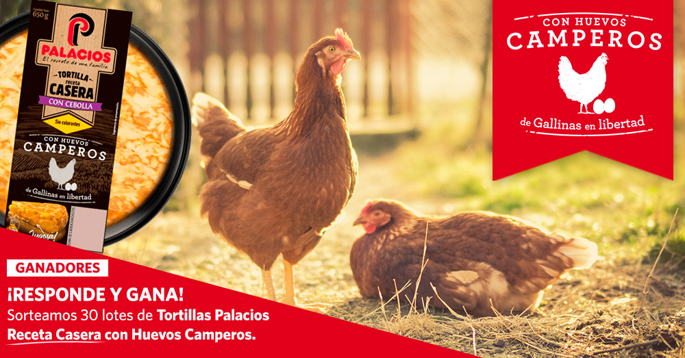 Ganadores de los 30 lotes de tortillas caseras palacios con huevos camperos