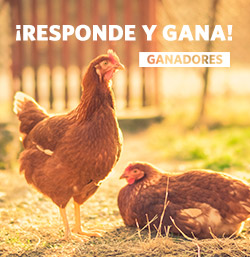 Ganadores de los 30 lotes de tortillas caseras palacios con huevos camperos