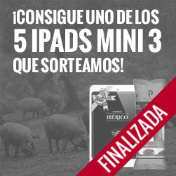 Sorteamos 5 iPads mini!